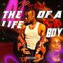 The Llfe of A Glo Boy (Explicit)