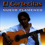 Nuevo Flamenco. Guitarras y Cante