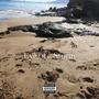 Eye of a Storm (feat. Casey Gerald)