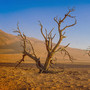 Midnight Rain of Death Valley