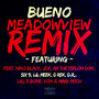 Meadowview (feat. Nino Black, Jdk, Ak the Teflon Don, Six 9, Lil Meek, D Rek, D.R., Liq, E Bone, Von, Marv Mitch) [Remix]