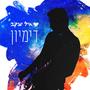 דימיון