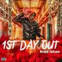 1st Day Out (Explicit)