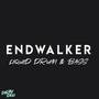 Endwalker (Liquid Drum & Bass)