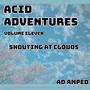 Acid Advventures : Volume eleven (Shouting at clouds ep)