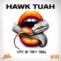 HAWK TUAH (Explicit)