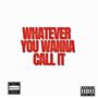 Whatever you wanna call it (feat. Li 4Five) [Explicit]