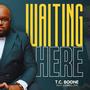 Waiting Here (feat. Lowell Pye)