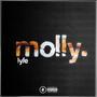 molly !yfe (Explicit)