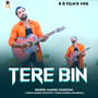 Tere Bin