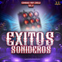 Cumbias Papi Chulo Vol. 8