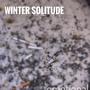 Winter Solitude (A Techno Symphony in Three Parts)