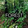 Forest (feat. Stevie Dutch & Paysh) [Explicit]