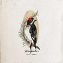 Woodpecker