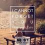 I Cannot Forget You