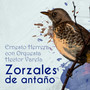 Zorzales de Antaño: Ernesto Herrera con Orquesta Hector Varela
