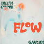 Flow (Explicit)