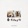 爱犬Day仔