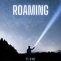 Roaming (Explicit)