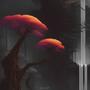 Drift EP