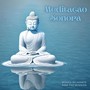 Meditação Sonora: Música Relaxante para Paz Interior