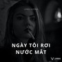 Ngày Tôi Rơi Nước Mắt (Remix)