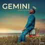 GEMINI (Explicit)