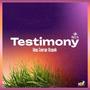 Testimony