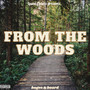 From The Woods (Explicit)