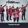 Chango Peludo