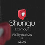 Shungu Dzemoyo