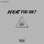 What You On (Explicit)