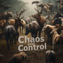 Chaos and Control