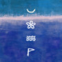 웃음 꽃 바다 모래 (smile flower sea sand)