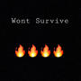 Wont Survive (Explicit)