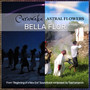 Bella Flor - from 