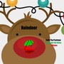 Reindeer