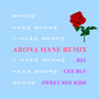 Never Have I Ever (Arona Mane Remix)