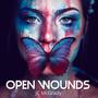 Open Wounds (Explicit)