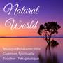 Natural World - Musique Relaxante pour Guérison Spirituelle Toucher Thérapeutique Cycle du Sommeil a