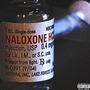 Naloxone (feat. NoSoul, Blank Stare & SKATTXRBRAIN) [Explicit]