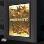 Underrated (Explicit)