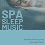 Spa Sleep Music: Wellness Relaxing Music with Delta Waves