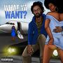 What Ya Want (Explicit)