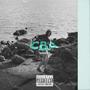 CBA (Explicit)