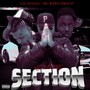 Section (Explicit)