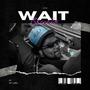 Wait (Explicit)