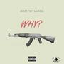 Why (Explicit)