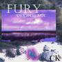 Fury(Original Mix)