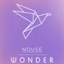 Wonder (feat. Evan Marien)